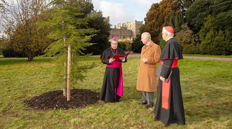 Nuncio Cardinal VN King CharlesIII Tree Gift 1140x641 1 800x445 1 768x427